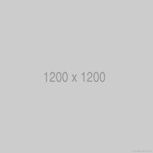 Inicio 11 Placeholder